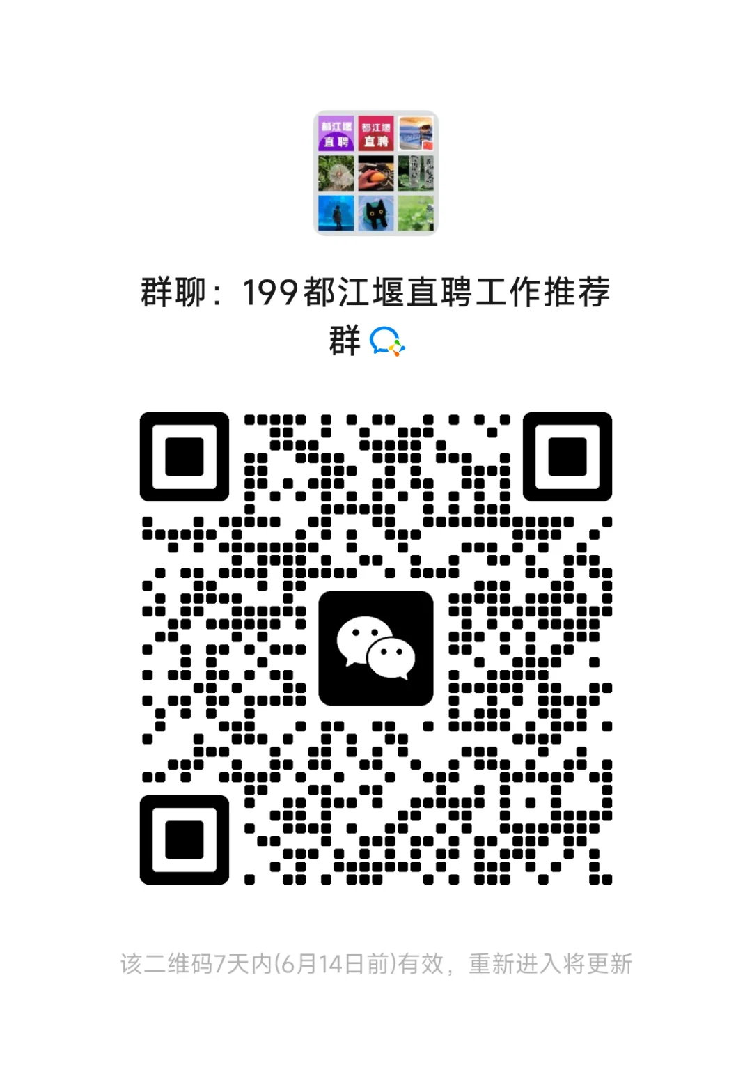 直聘群，进！