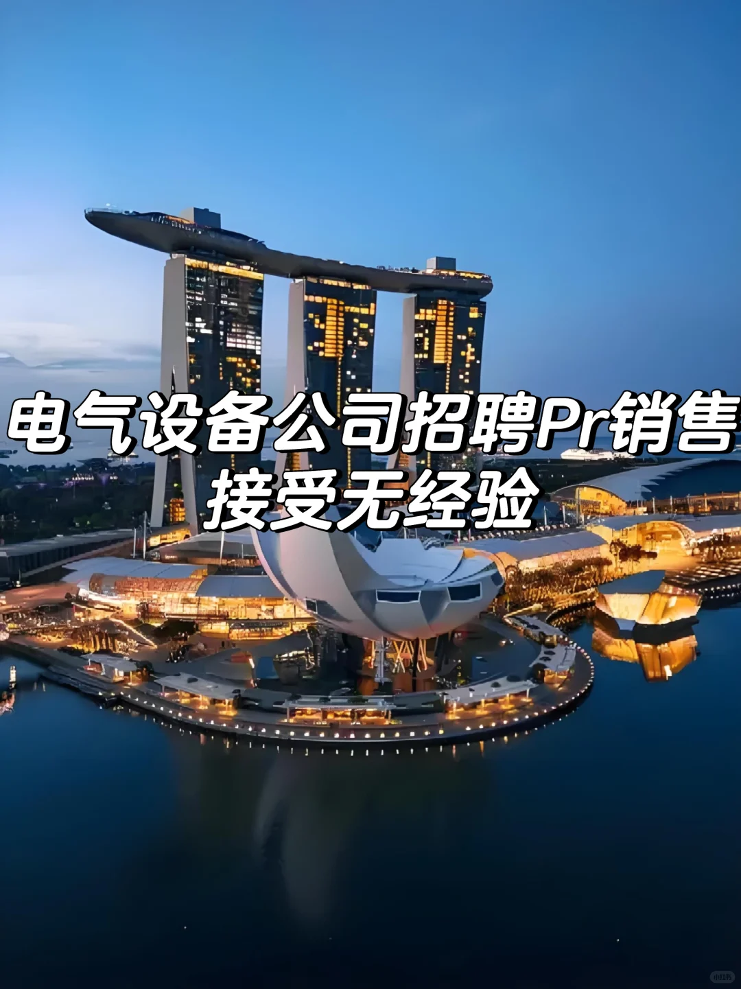 急招销售✈️新加坡电气设备公司直聘