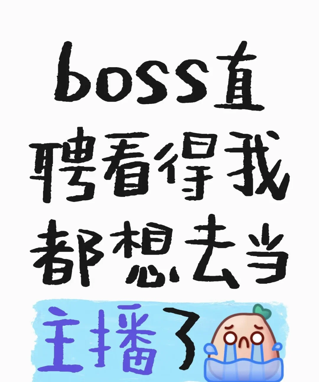 博士直聘看得我都想去当主播了
