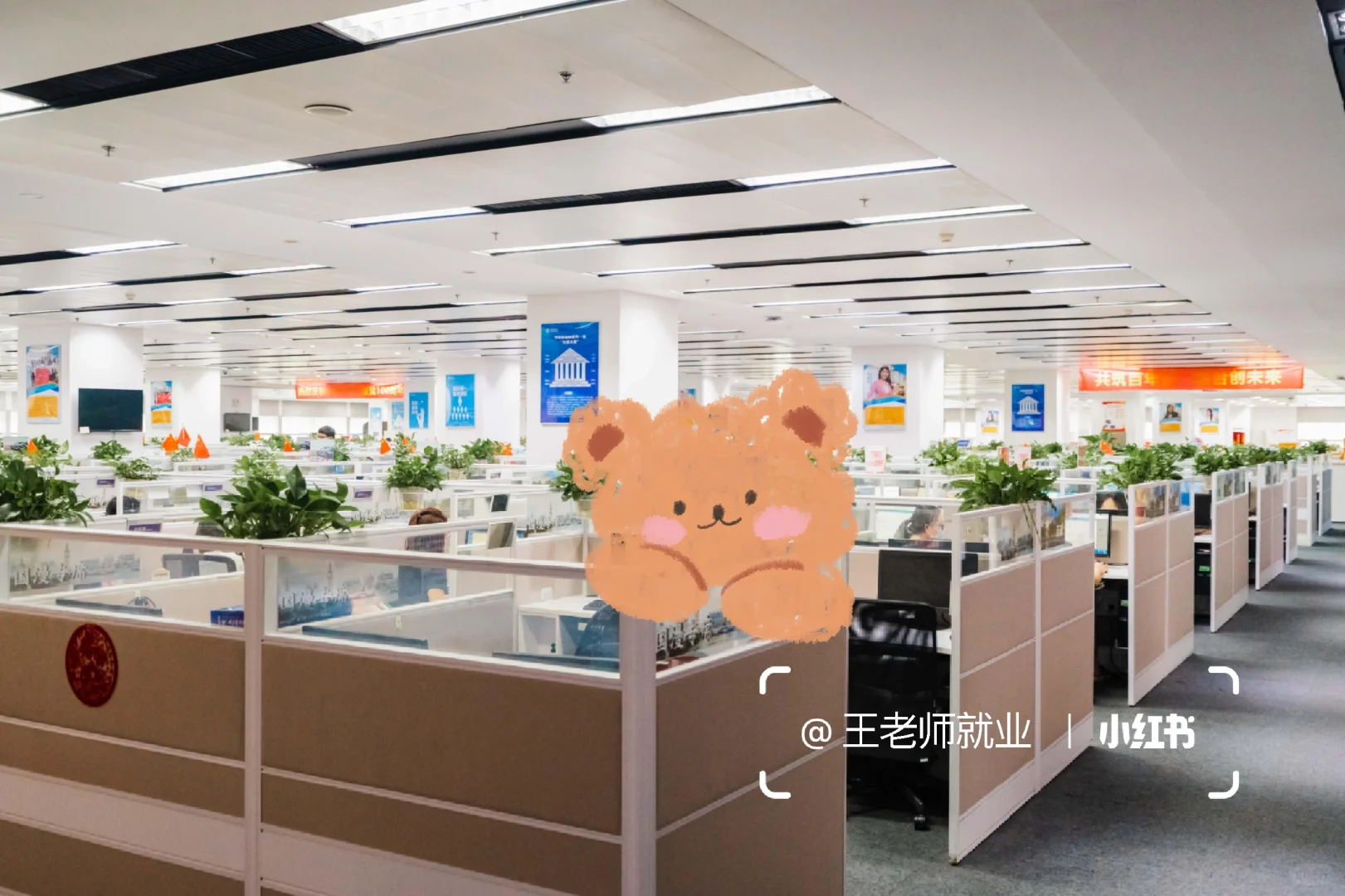 武汉农业集团文职招聘,大专可冲!