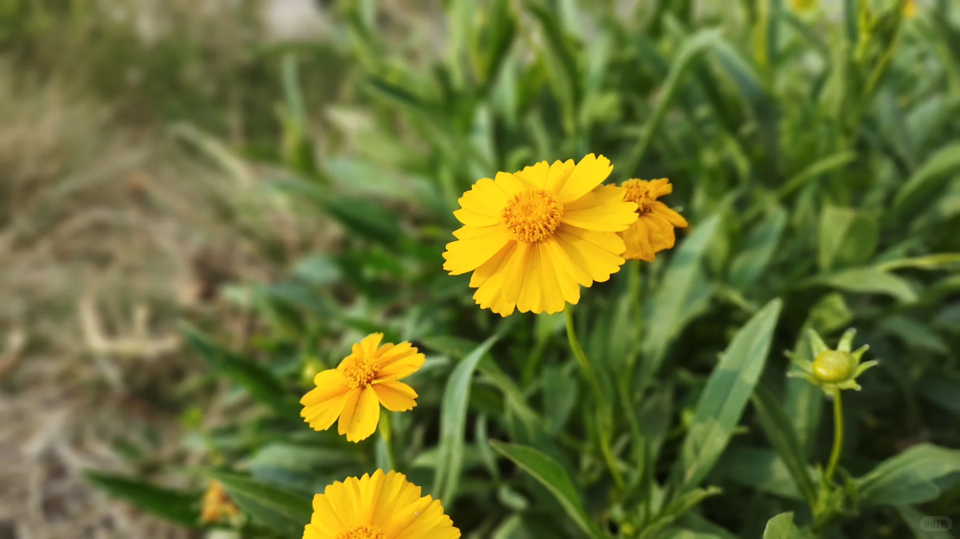 24届农硕上班1年有感|迷茫啊