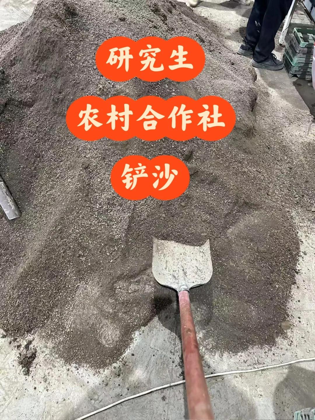 学历已经这么不值钱了吗？