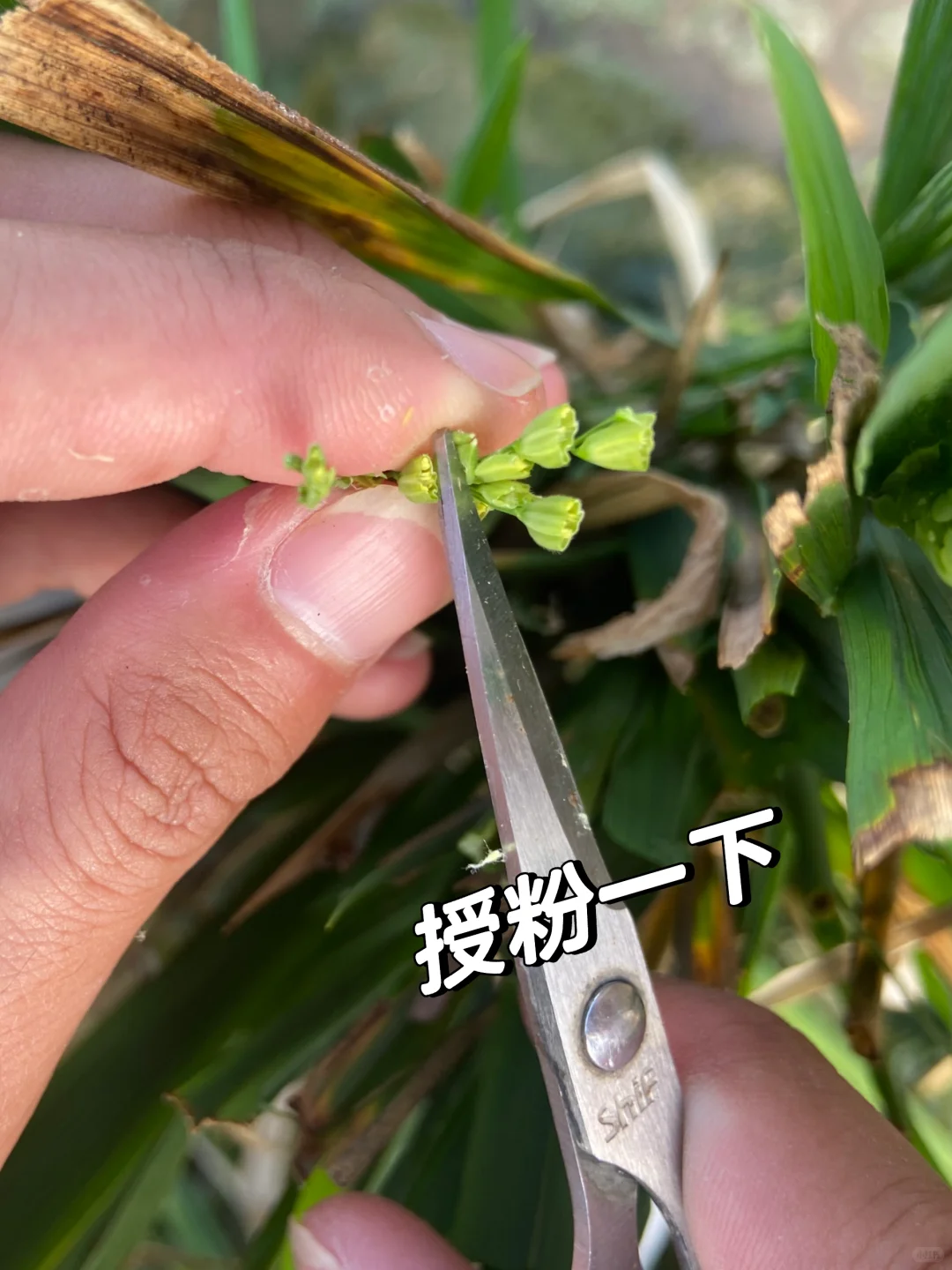 农业公司上班的日常?你能接受吗