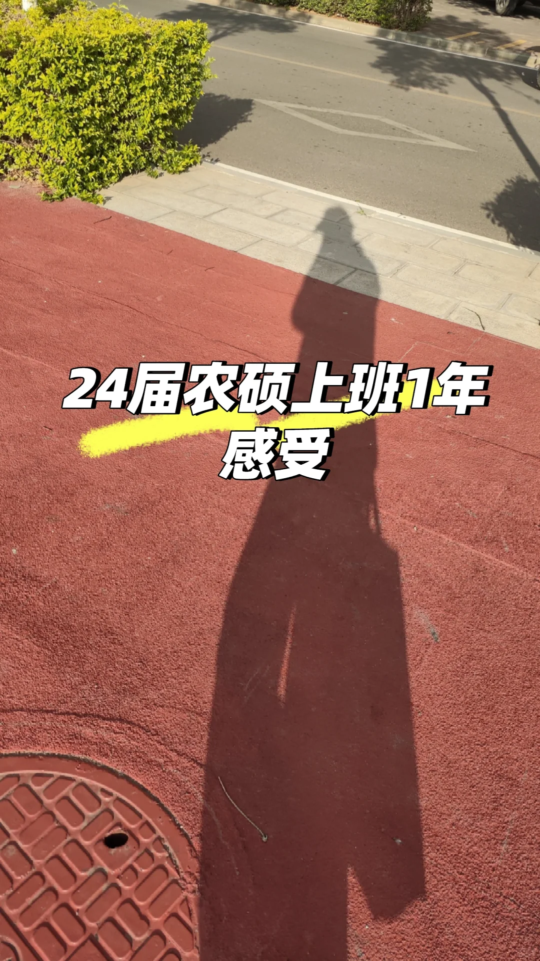 24届农硕上班1年有感|迷茫啊