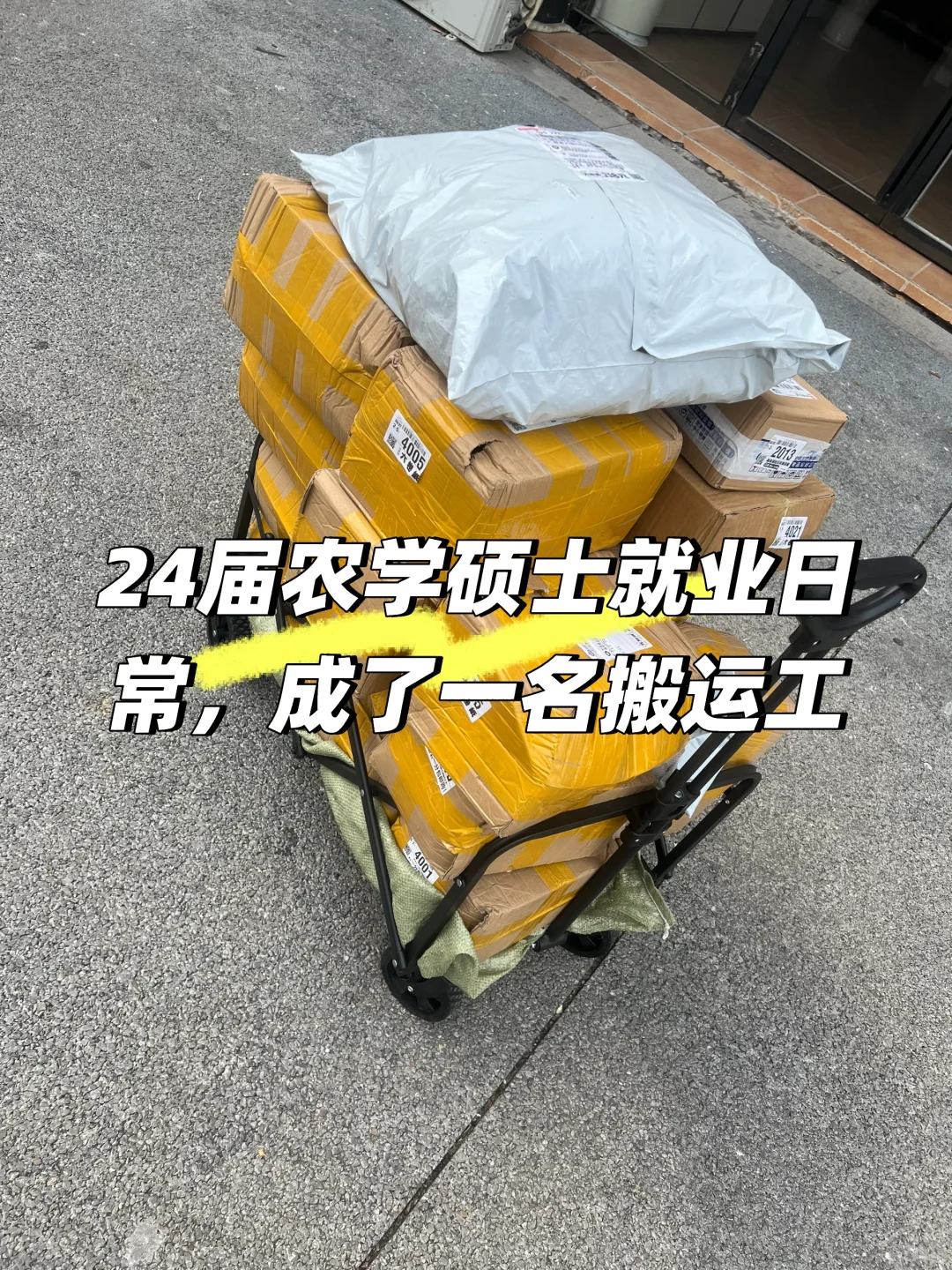 24届农学硕士，找工作日常。又成了一名搬运工