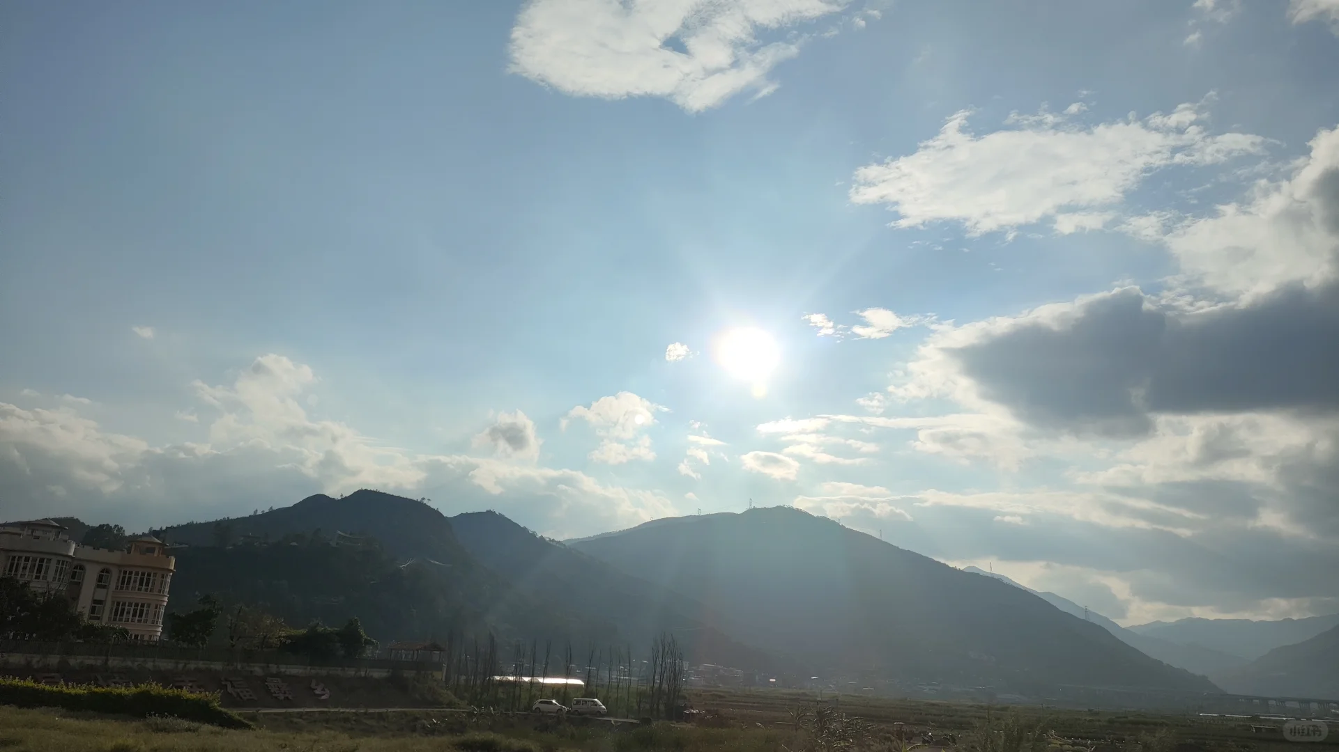 24届农硕上班1年有感|迷茫啊
