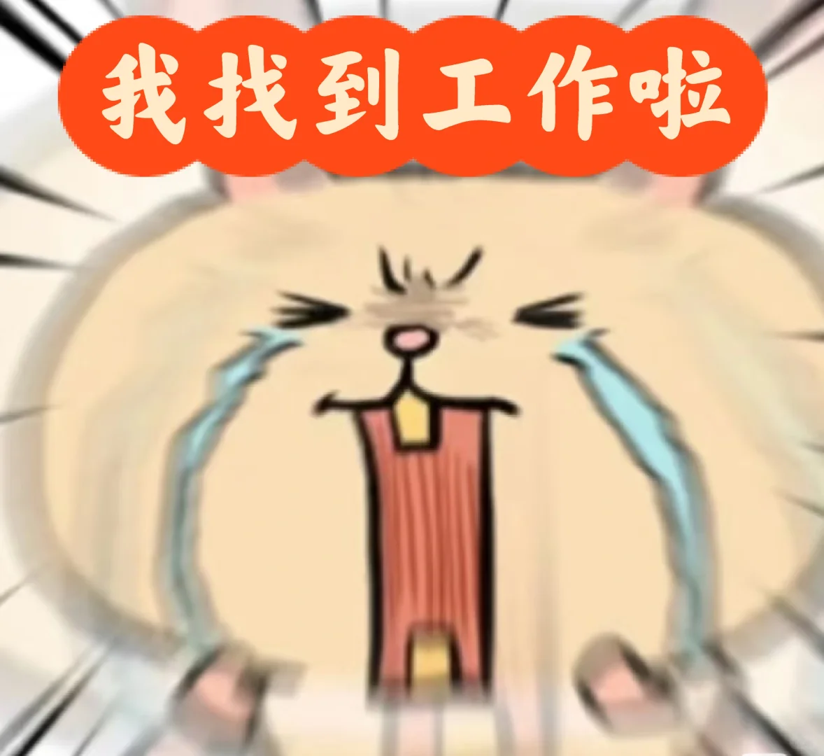 我！！！找到工作啦！