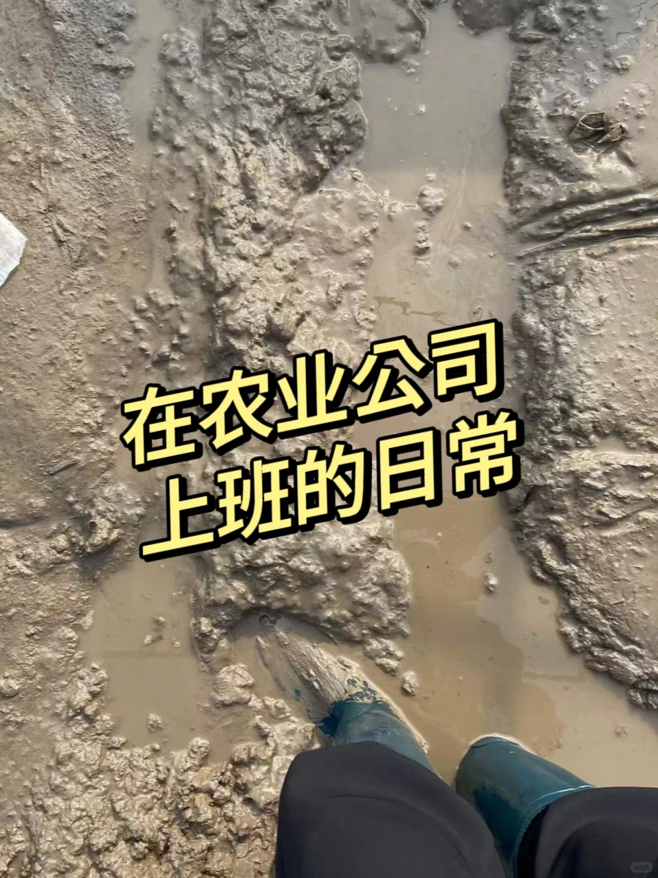 农业公司上班的日常?你能接受吗