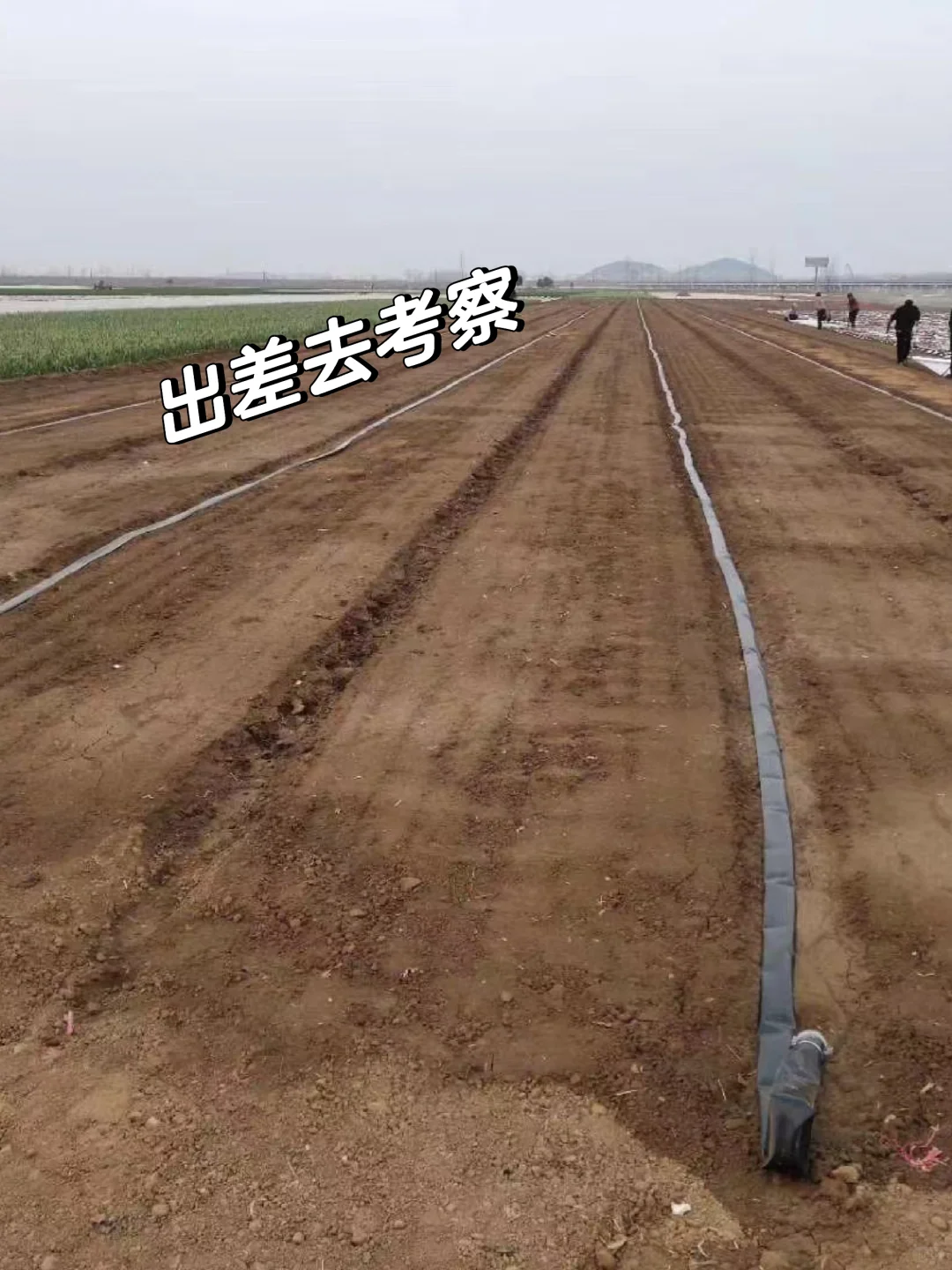 农业公司上班的日常?你能接受吗