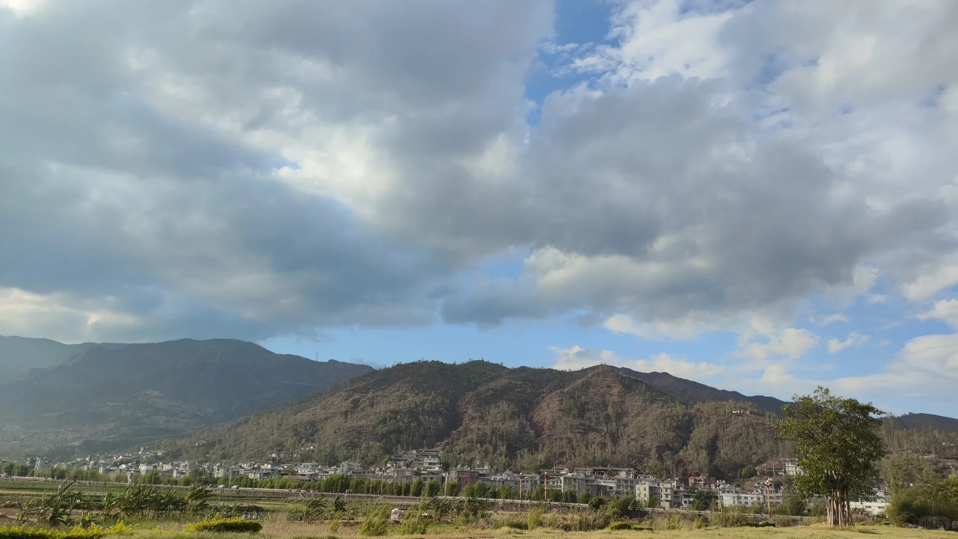 24届农硕上班1年有感|迷茫啊