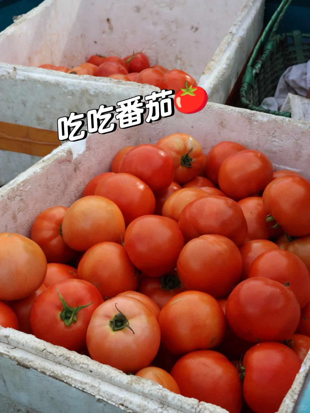 农业公司上班的日常?你能接受吗
