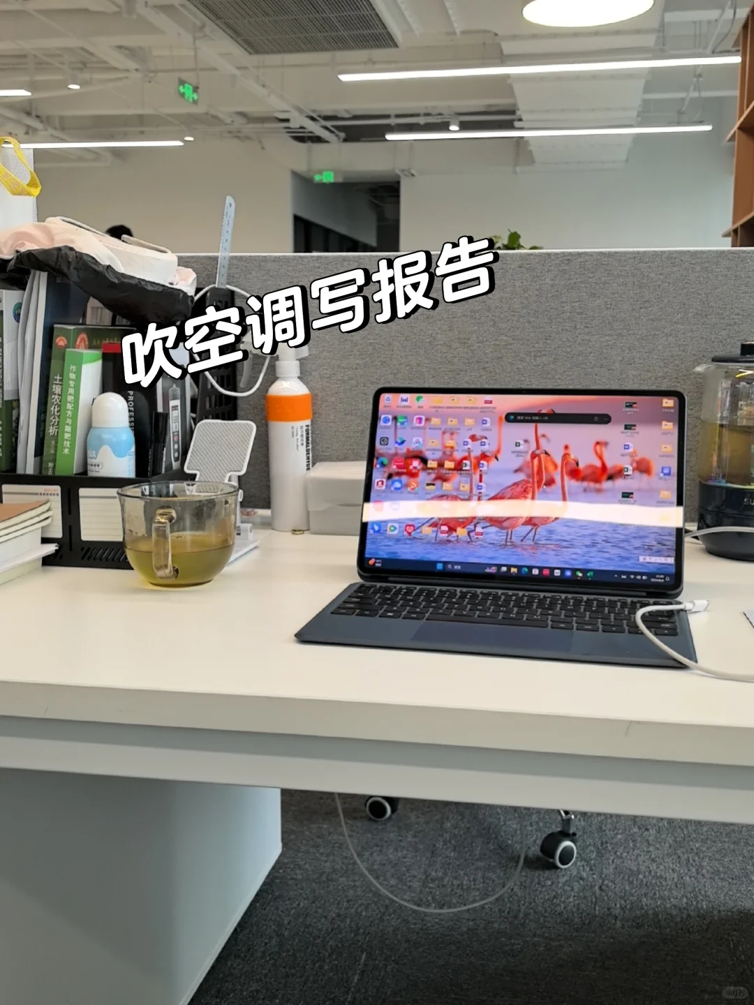 农业公司上班的日常?你能接受吗