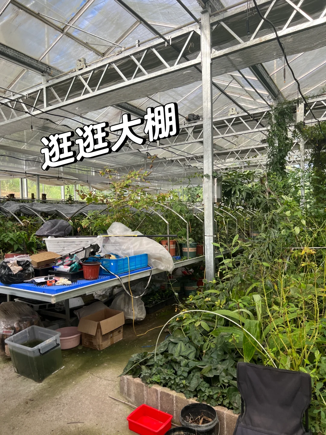 农业公司上班的日常?你能接受吗
