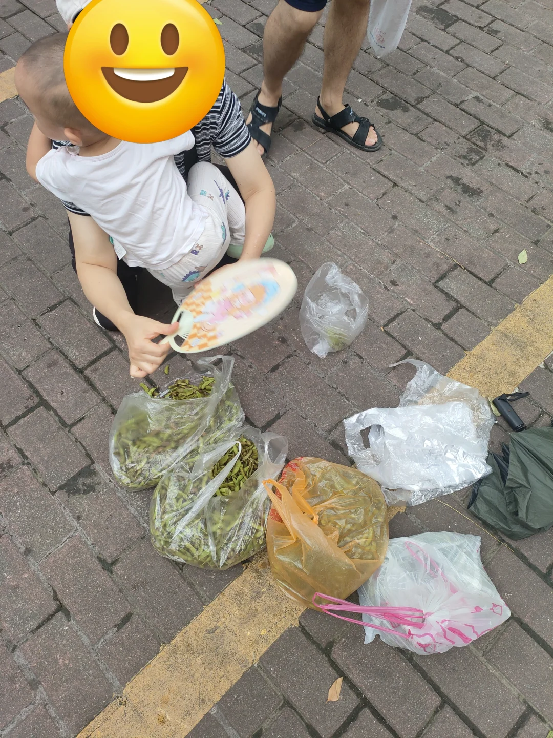 农学的就业尽头真的是销售(¯―¯٥)
