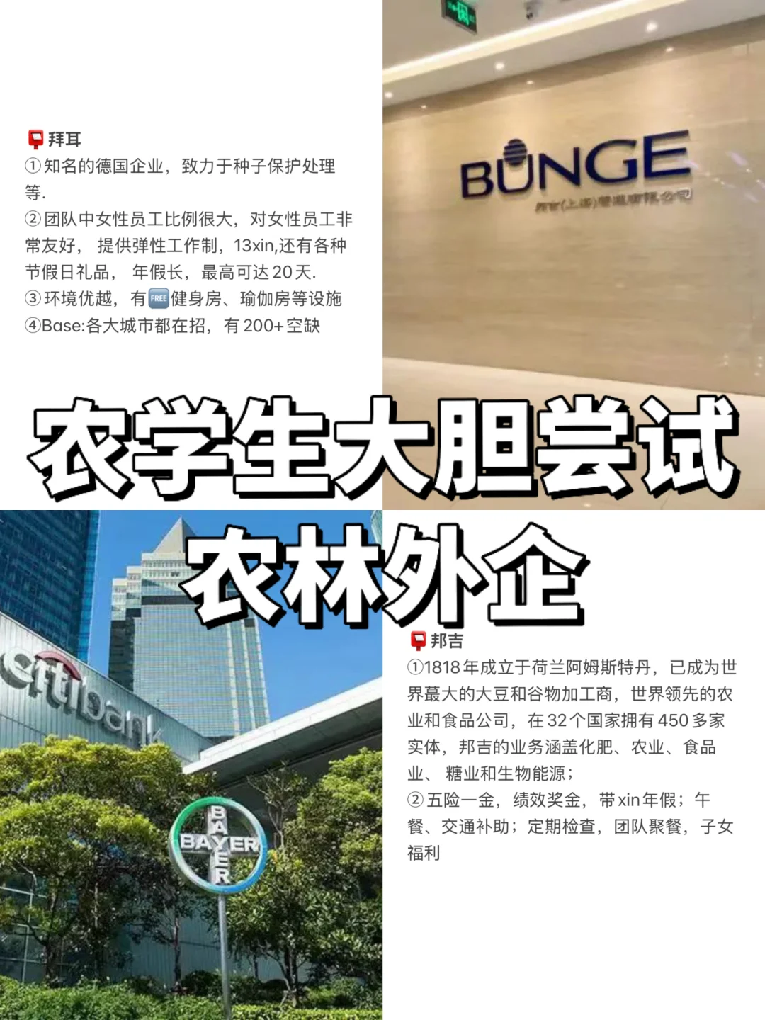 农学生大胆尝试农林外企