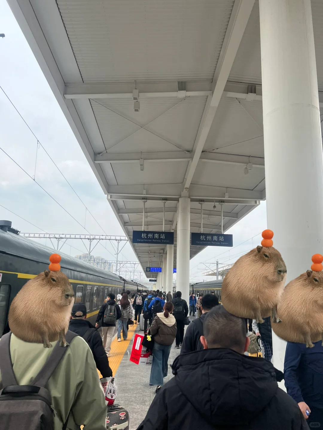 24届农学硕士，找工作日常。又成了一名搬运工