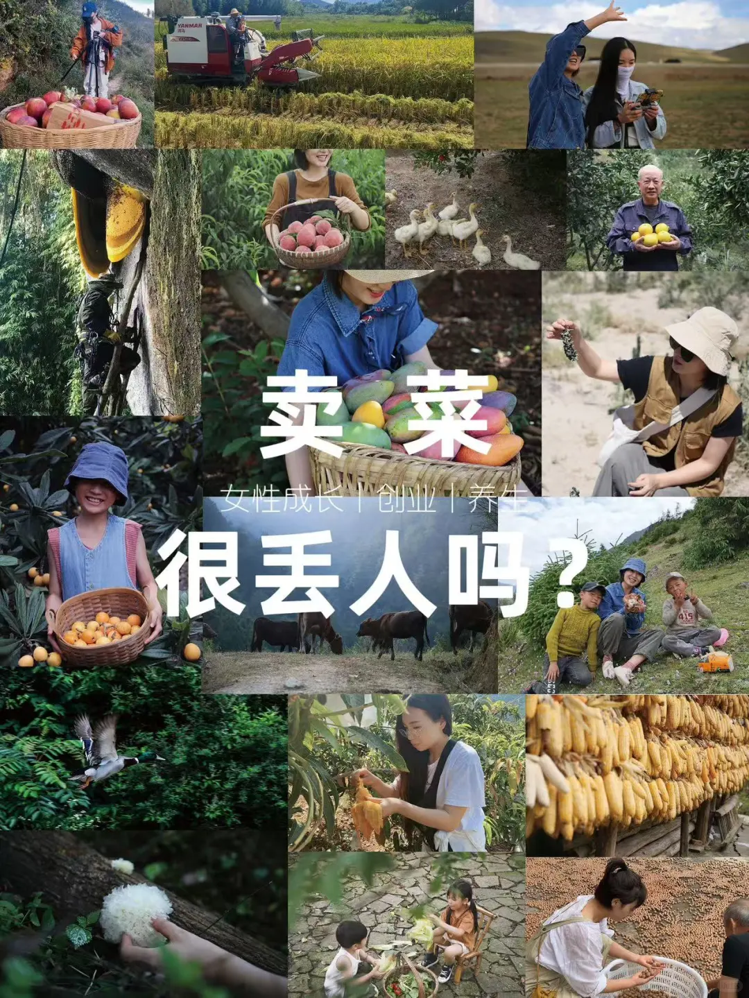 做了5年生态农业|我们酷毙了❗️❗️❗️
