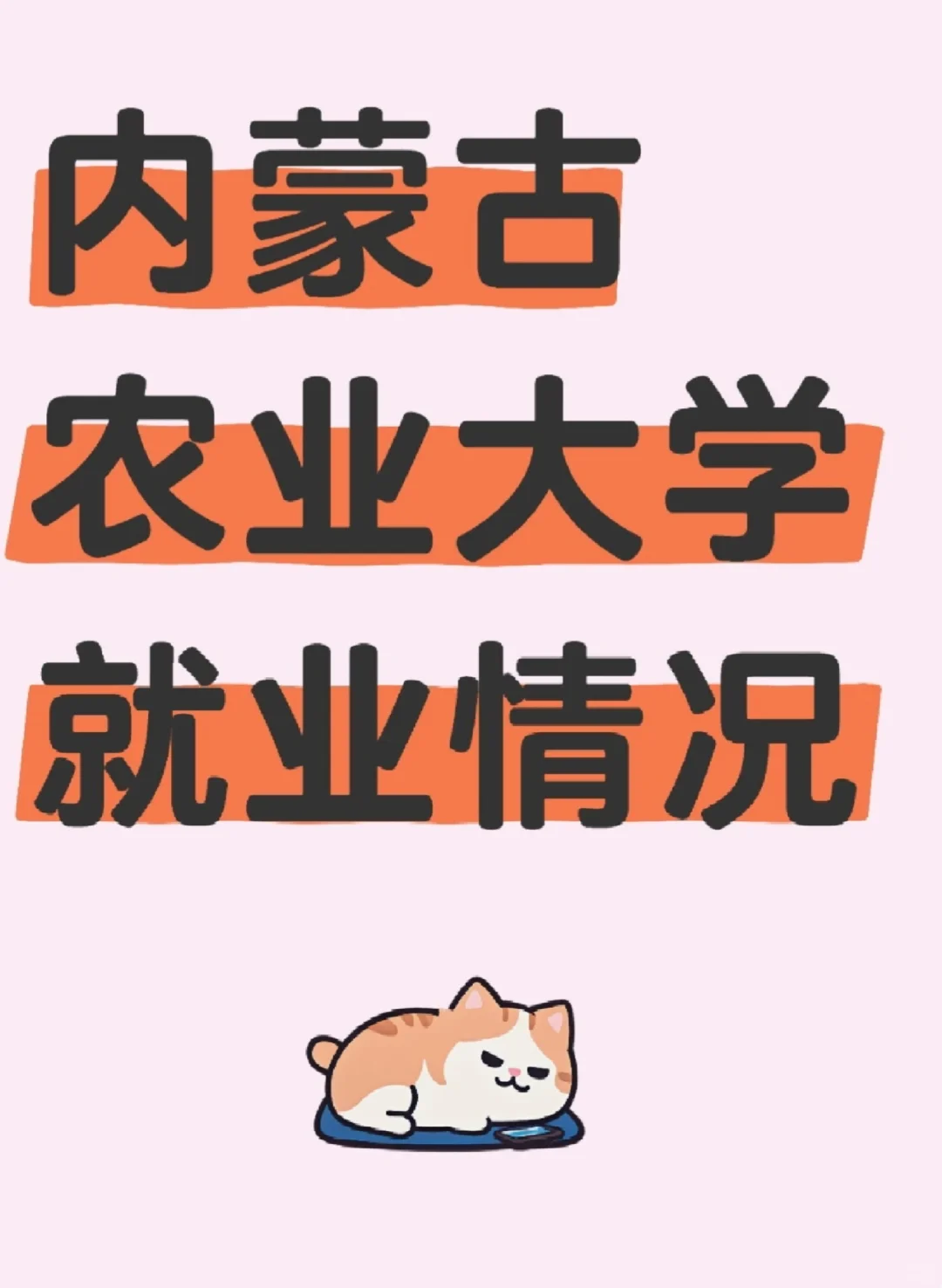 内蒙古农业大学就业情况概述