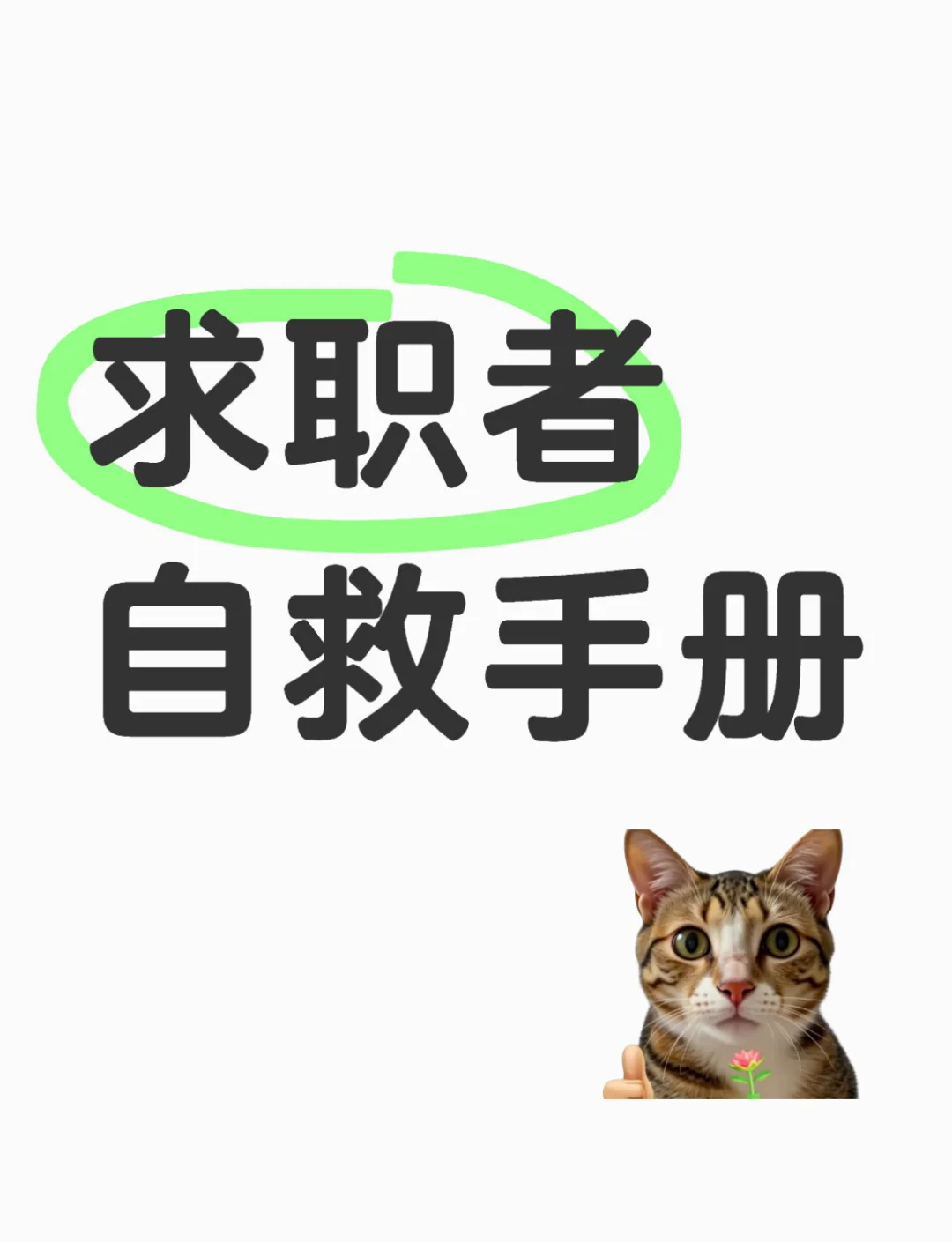 为啥在招聘平台找不到工作？