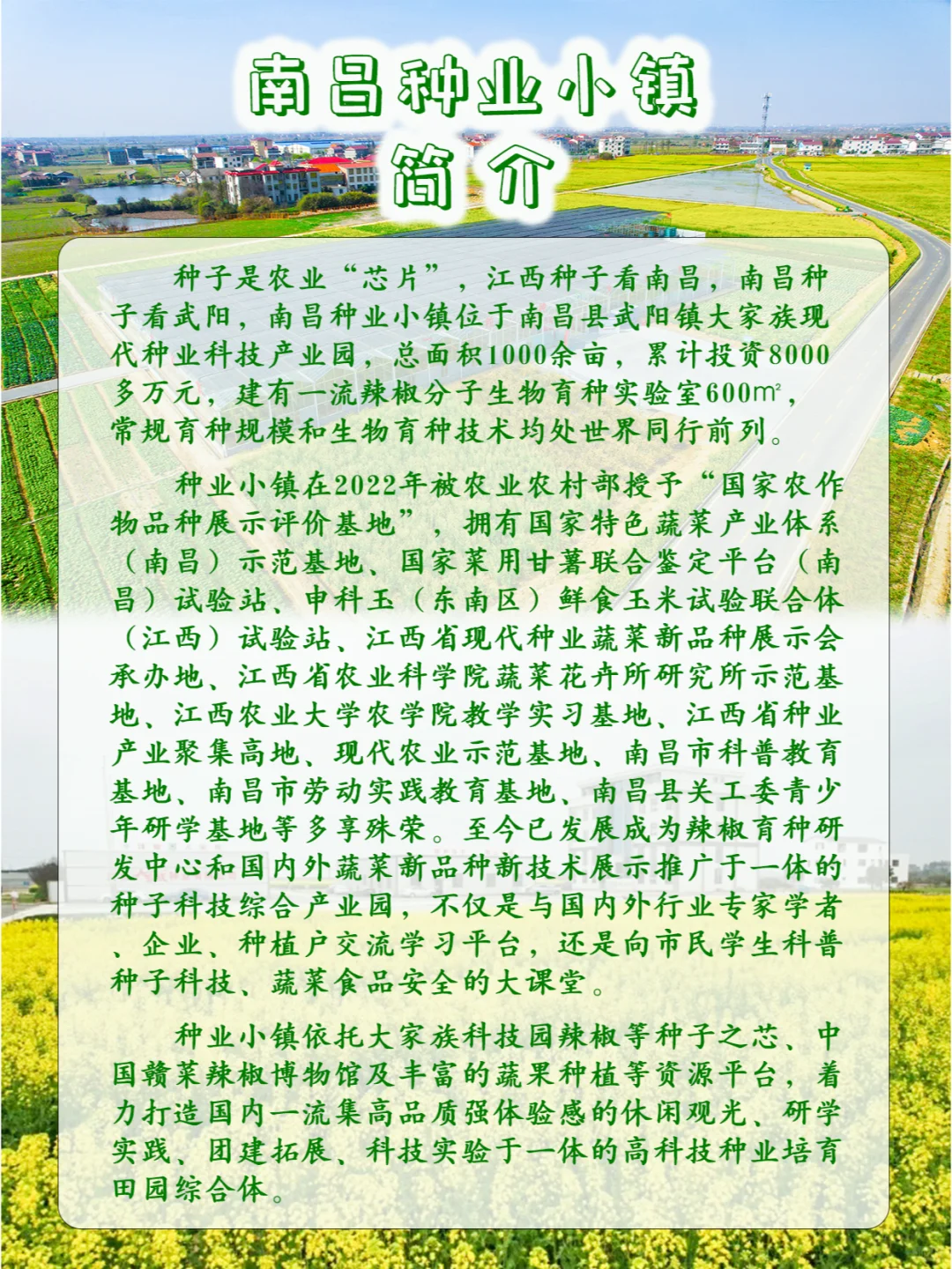 **✨南昌种业小镇招聘啦✨**