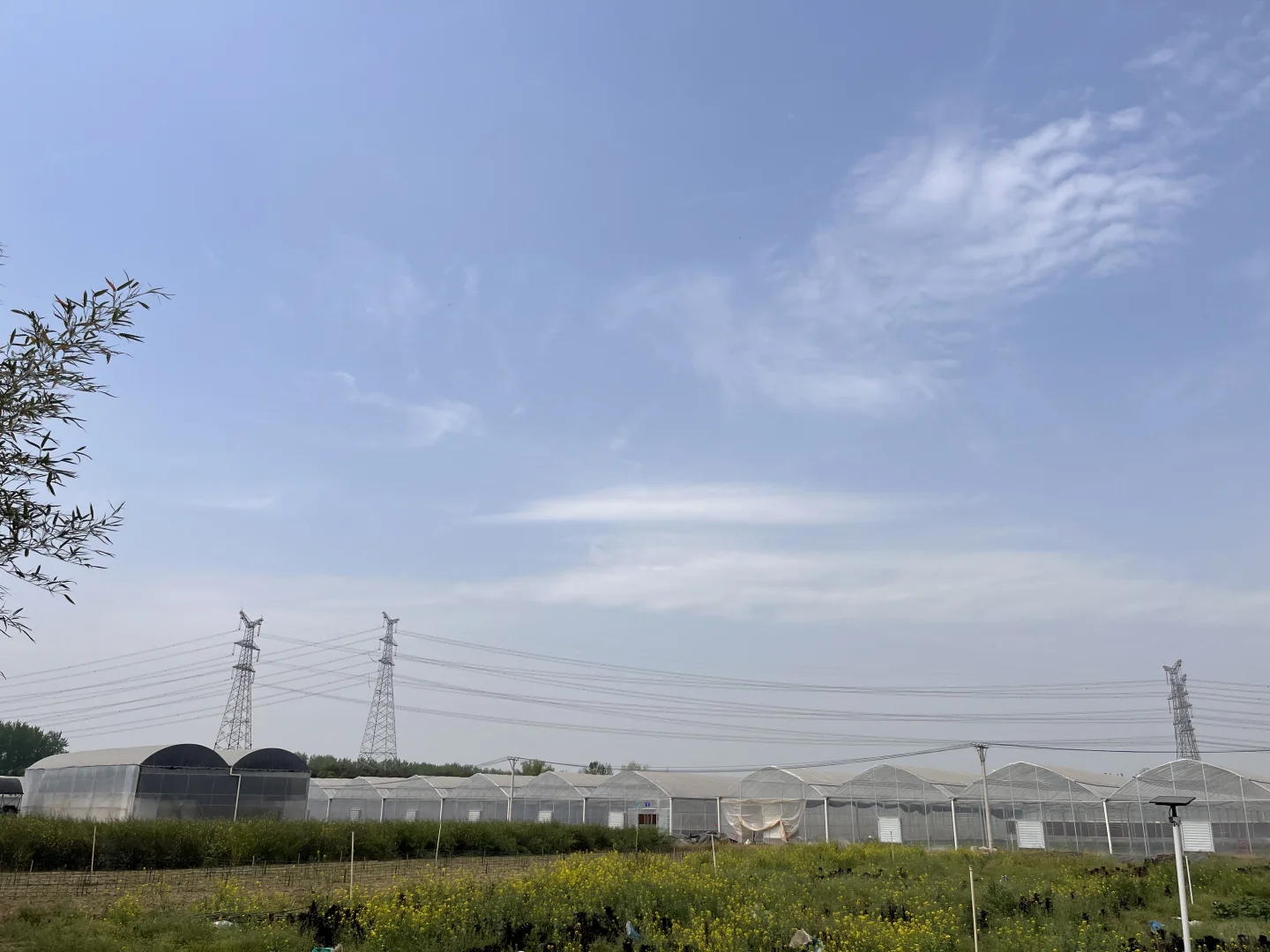招聘农艺师助理