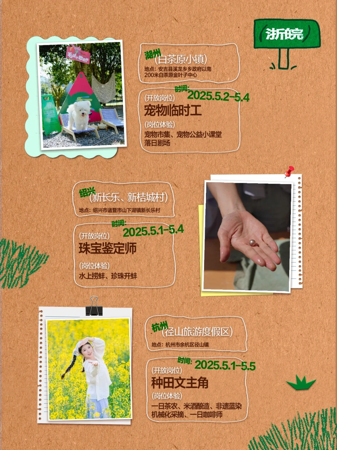 急招❗️多岗位任选 薯薯喊你回村种地啦
