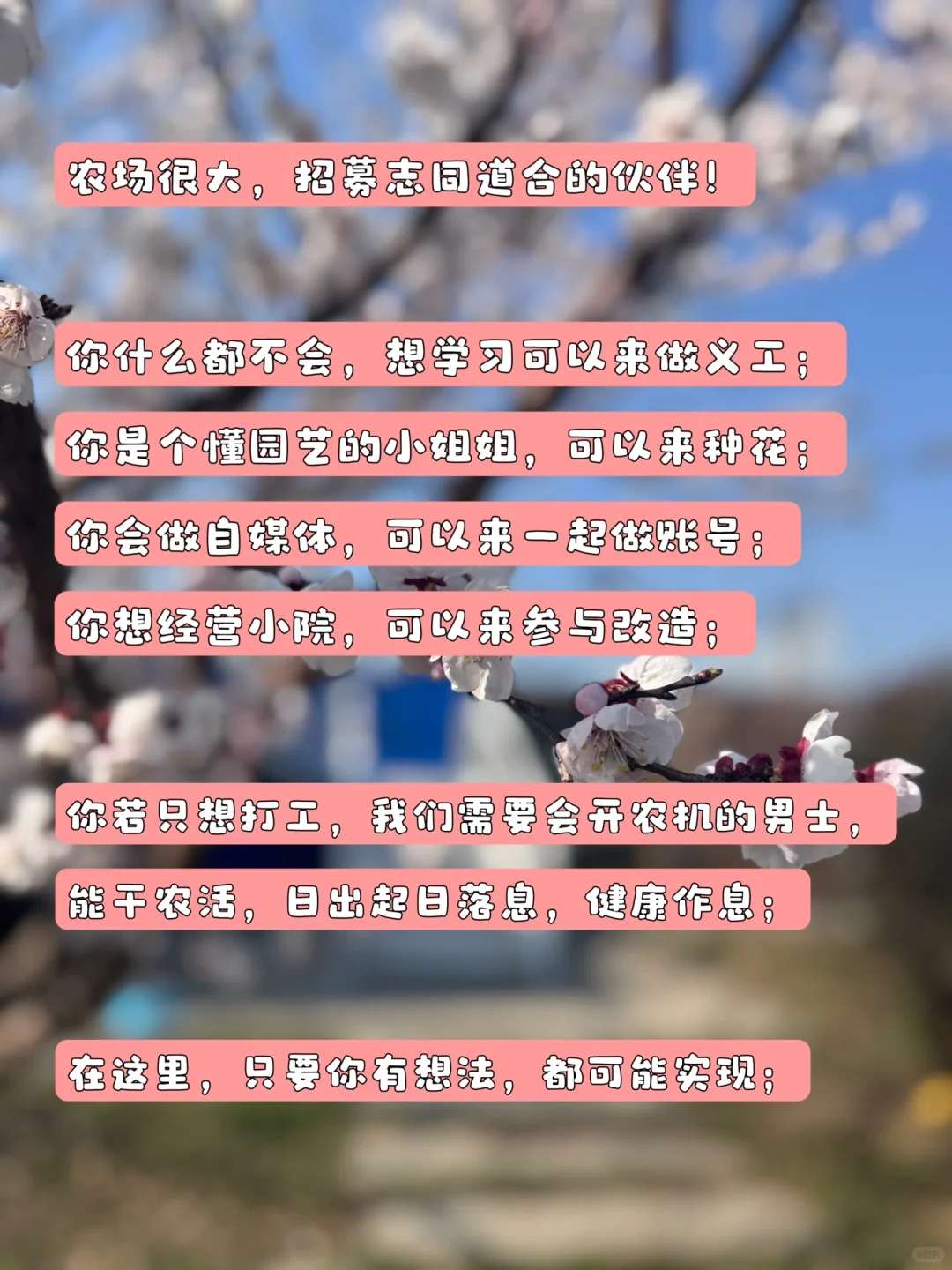农场继续招募,寻志同道合的朋友