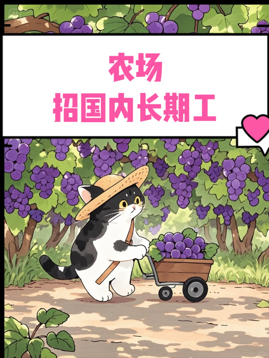 到葡萄园农场打工啦！??