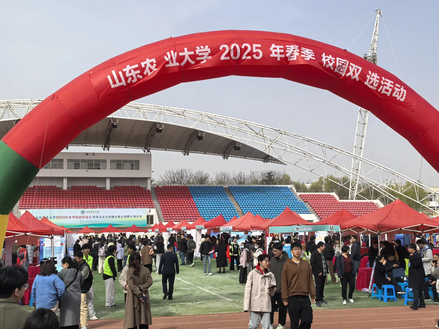 山东农业大学双选会