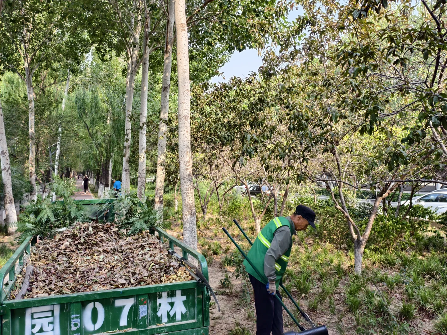 招聘绿化工