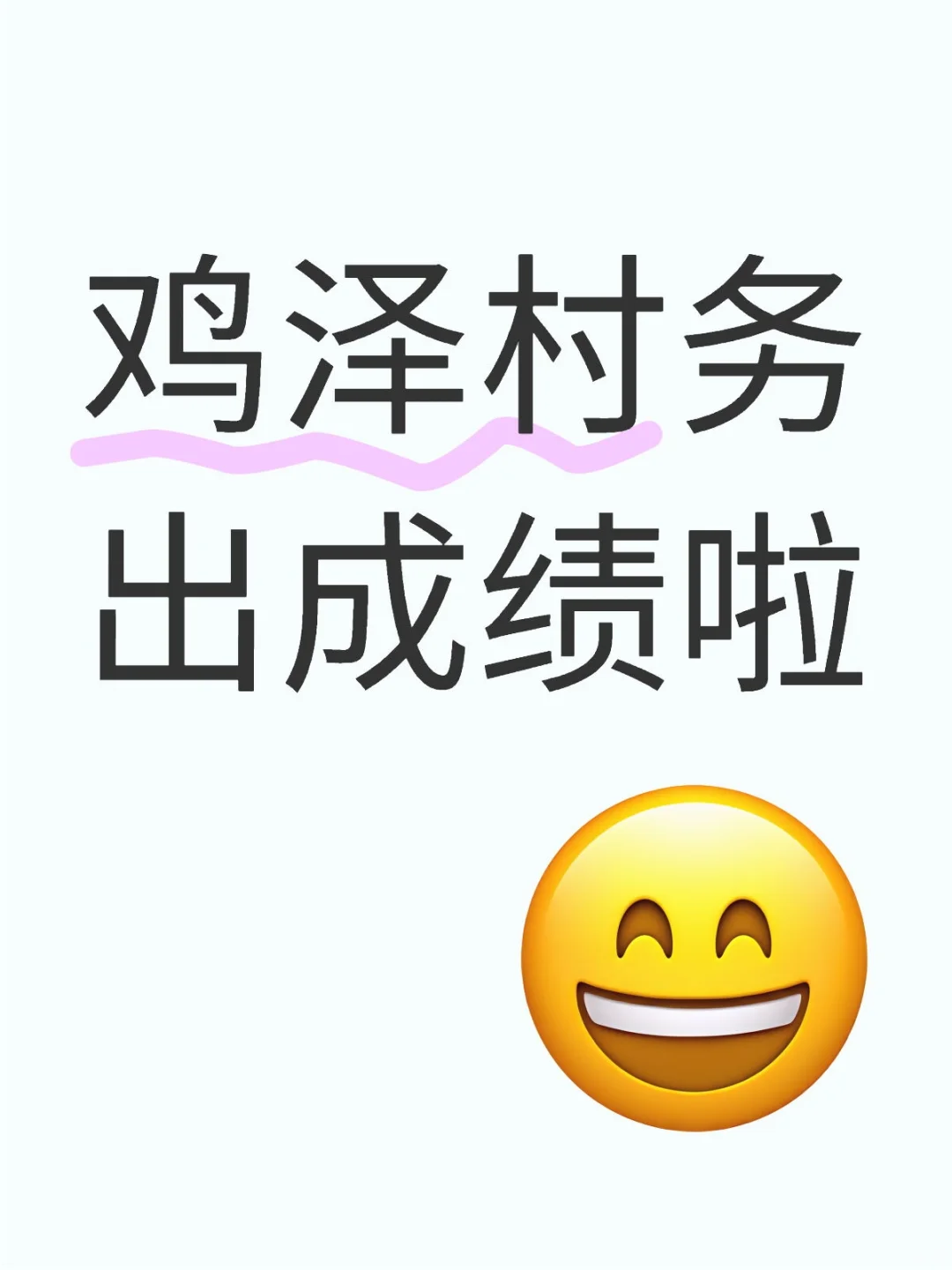 鸡泽村务成绩已出