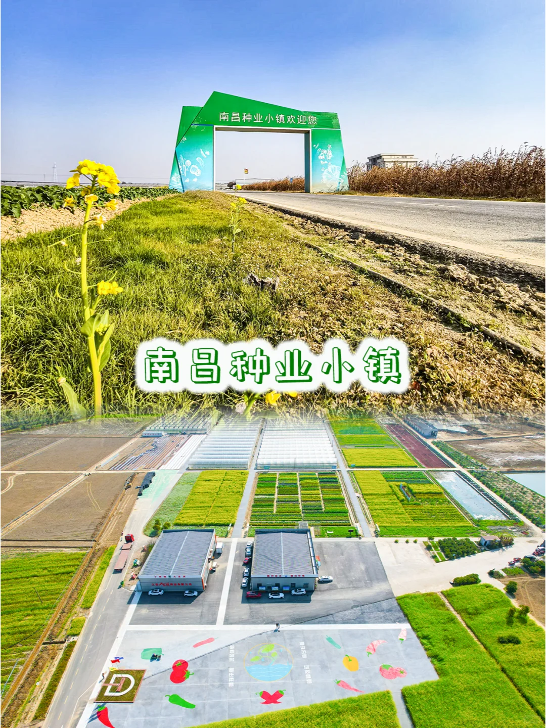 **✨南昌种业小镇招聘啦✨**