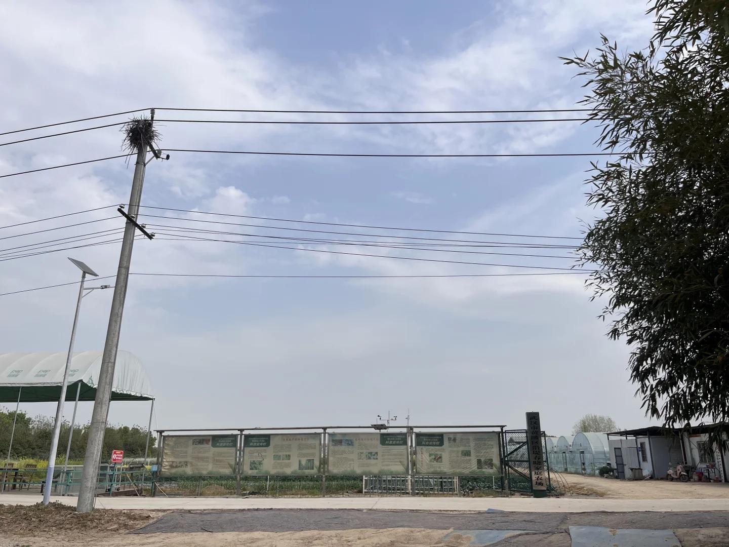 招聘农艺师助理