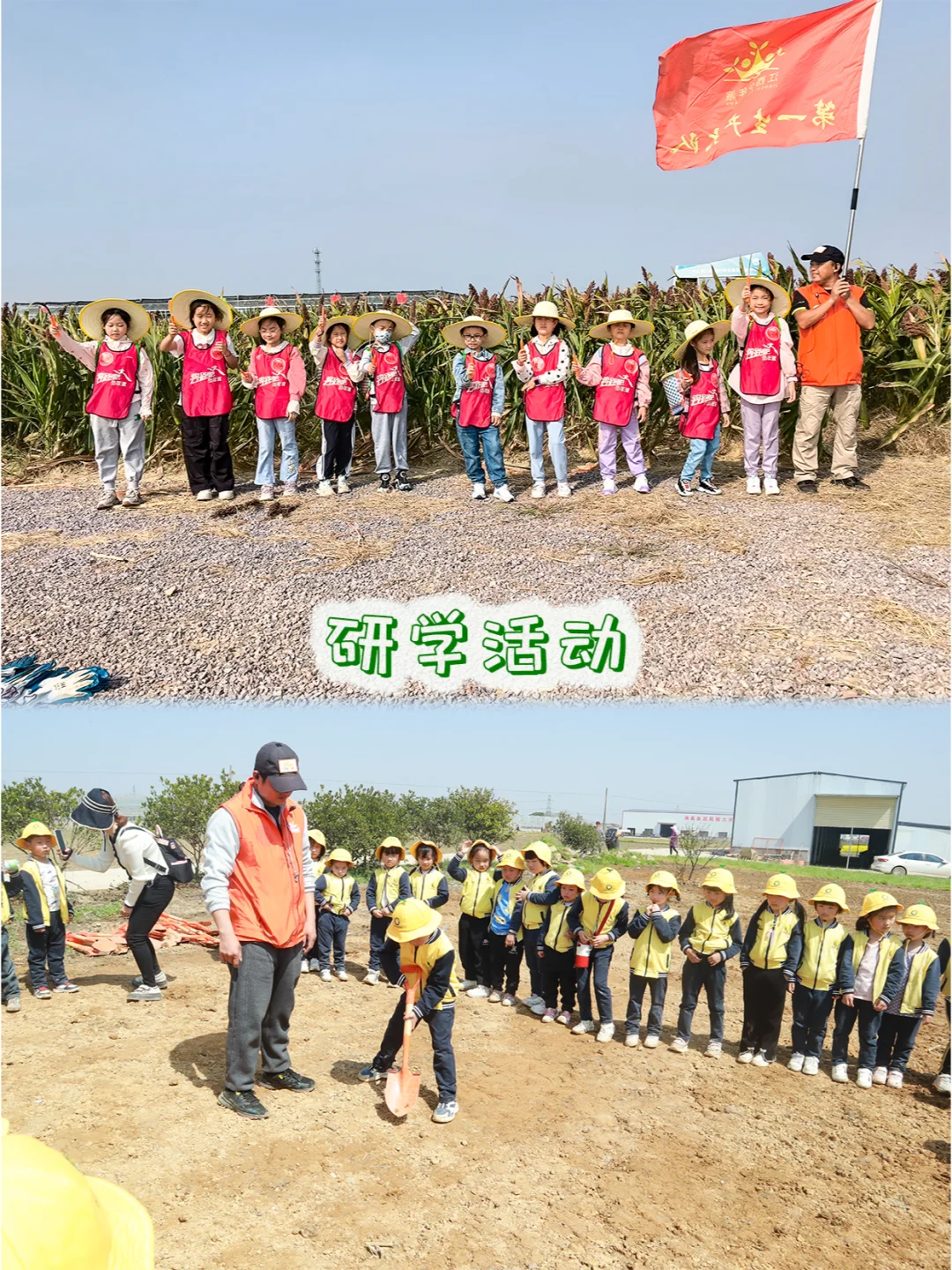 **✨南昌种业小镇招聘啦✨**