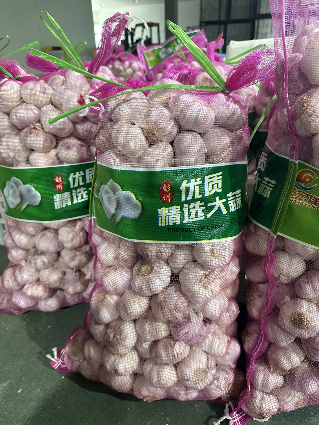 鑫宏洋招人,不怕你要价