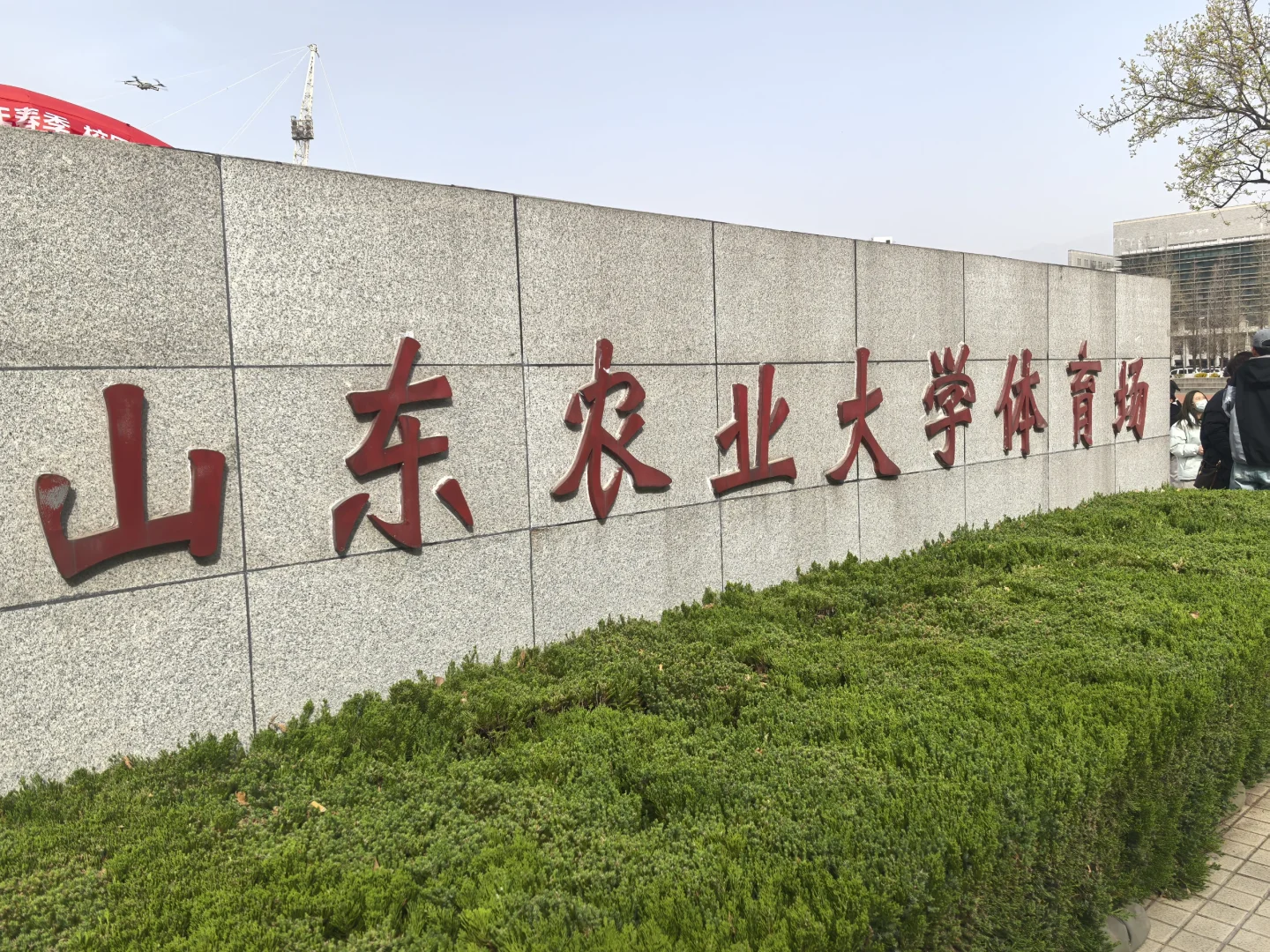 山东农业大学双选会