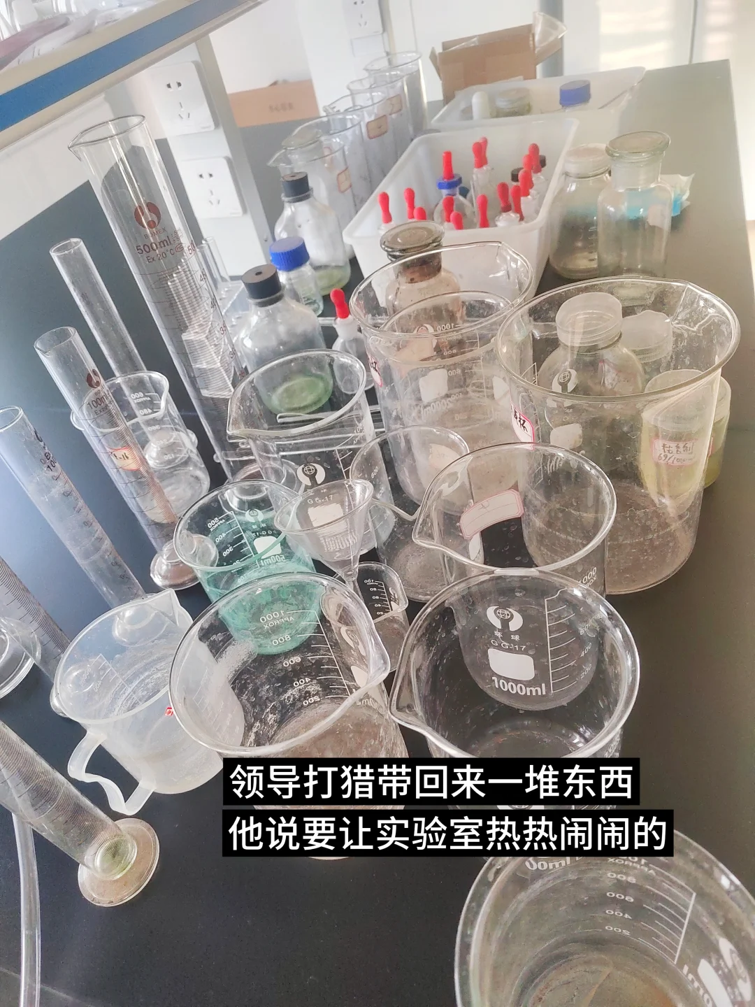 25届农硕园艺公司打工Day2|毕业倒计时