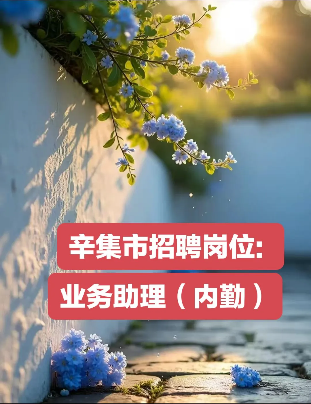 公司内部招聘岗位:业务助理(内勤)