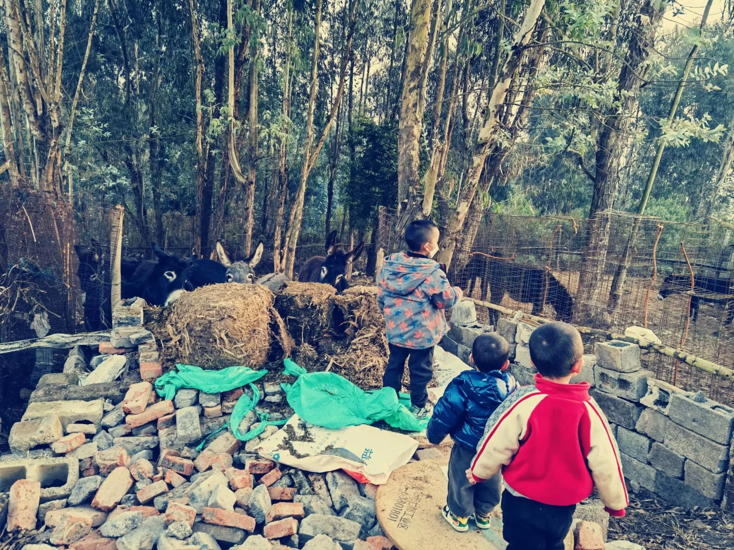寻找新媒体，电商运营合作