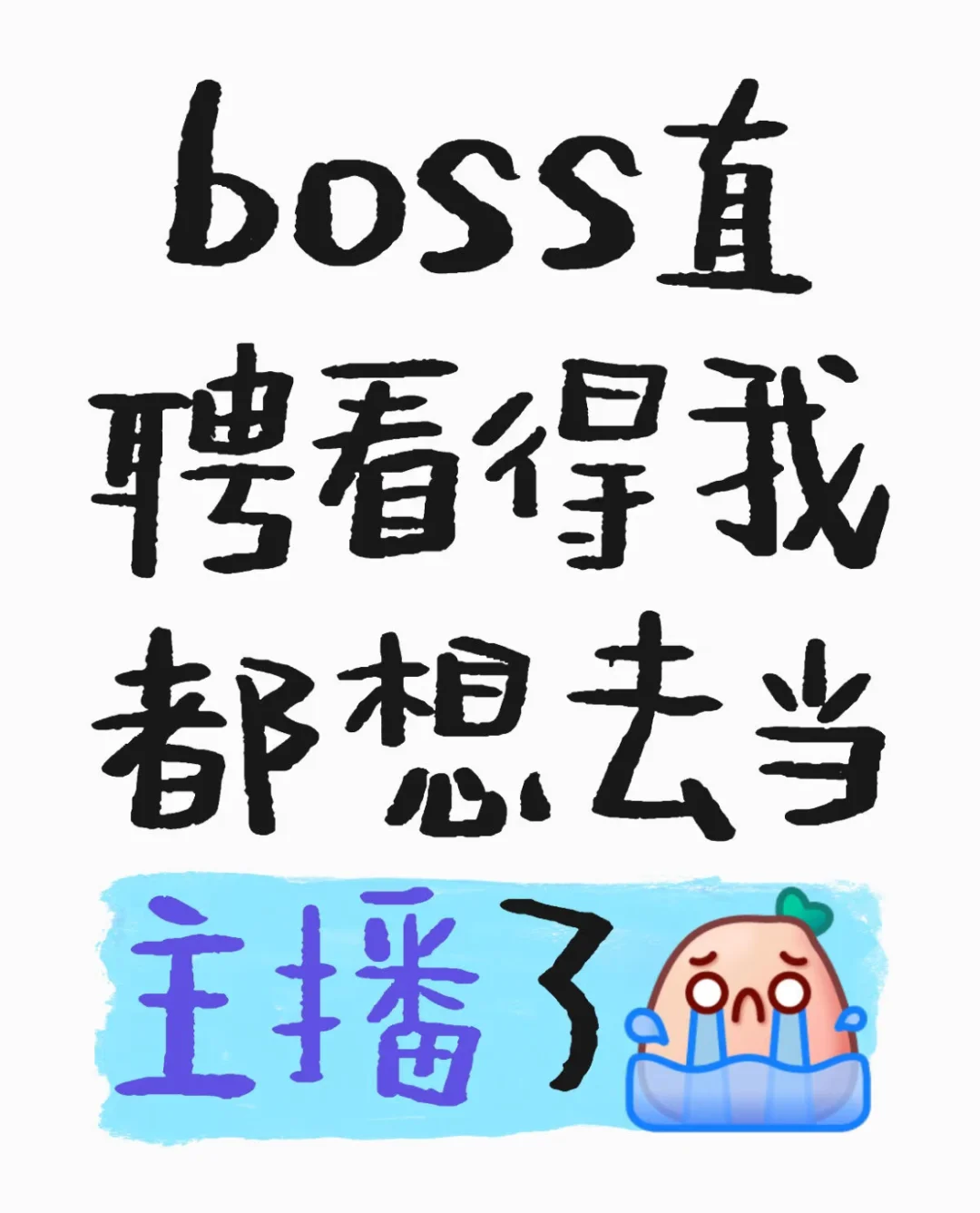 boss直聘看的我都想当主播了