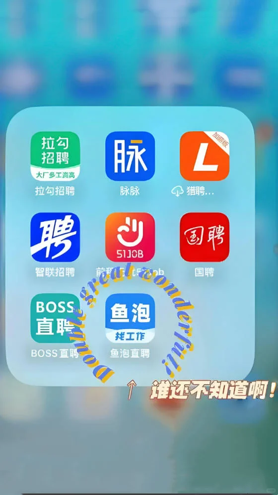 求职招聘新选择-鱼泡网&鱼泡直聘