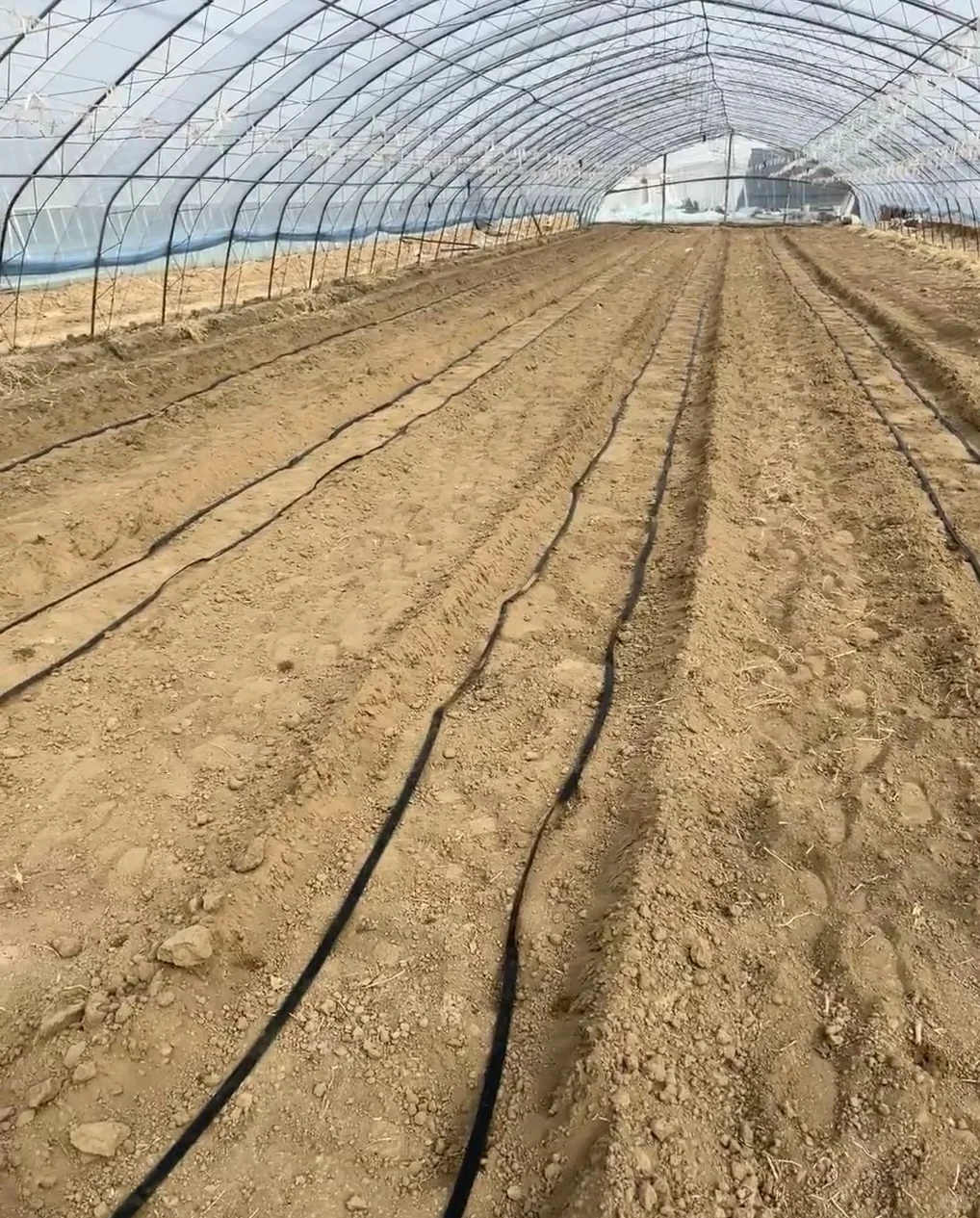 诚招 - 果蔬种植技术团队