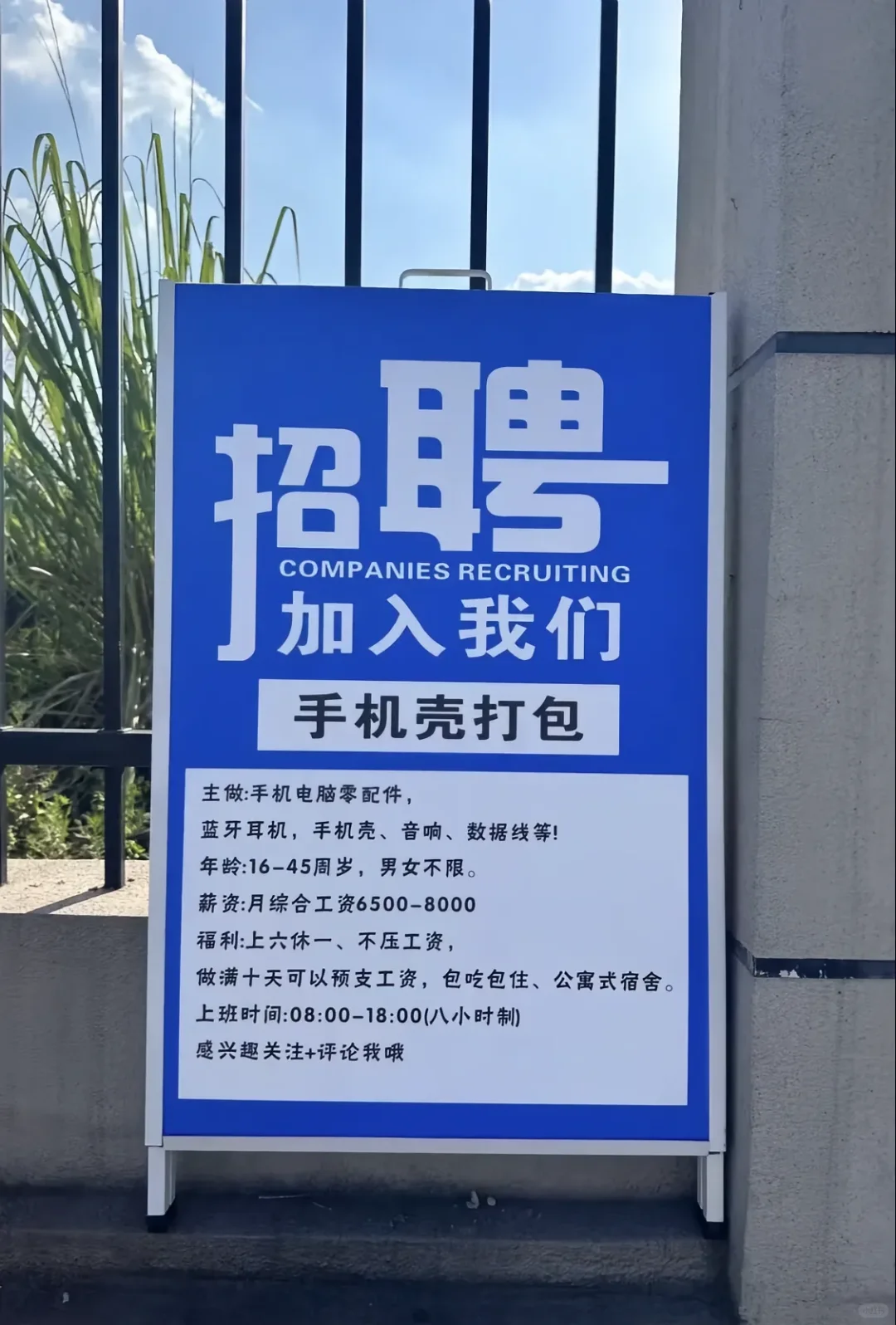 打包员,手机壳打包员