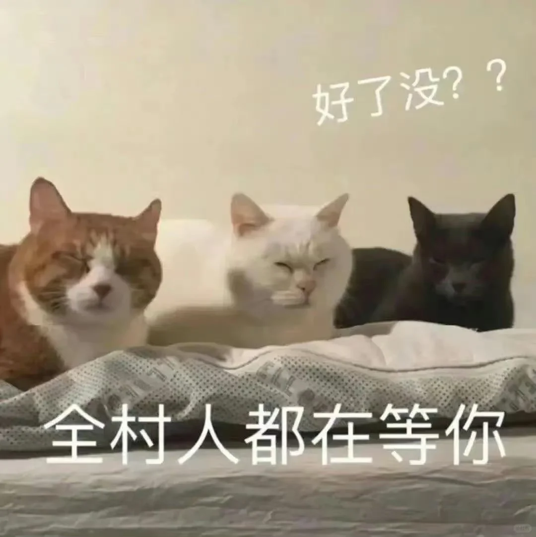关于我是怎么在gap15个月后找到9k的工作的
