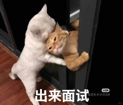 日常招人崩溃中
