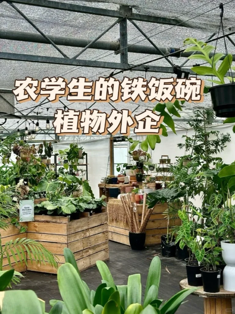 适合农学生去的植物外企
