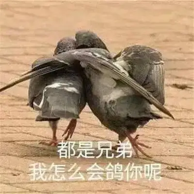 招聘表情包