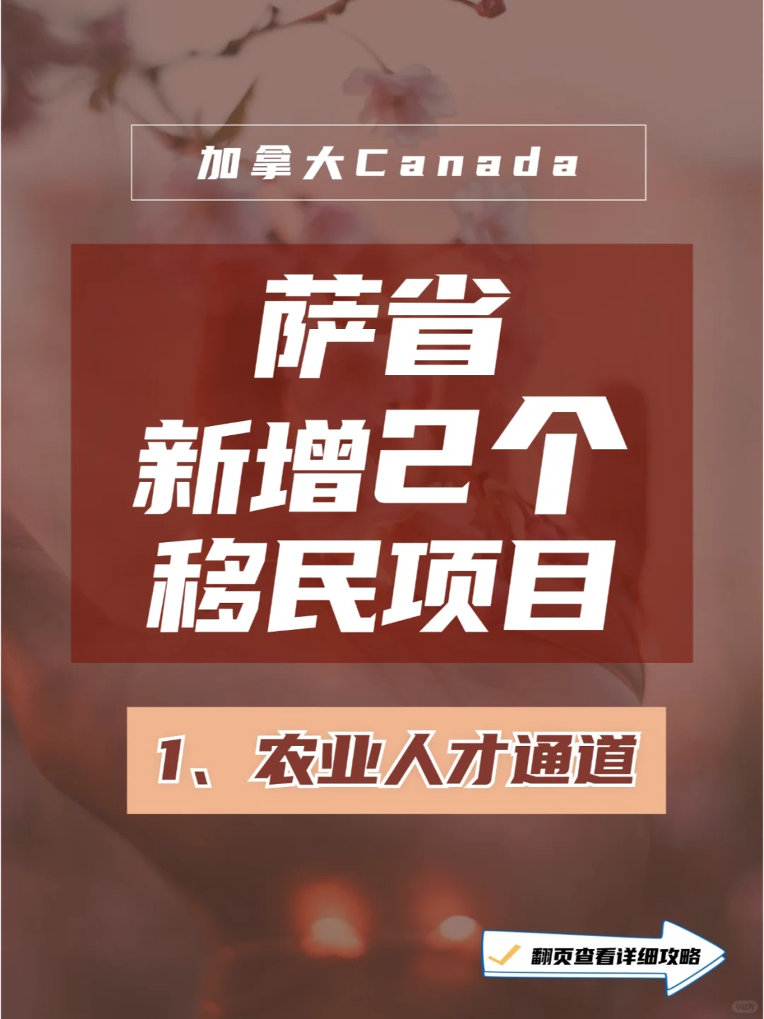 加拿大??移民萨省攻略之农业人才通道