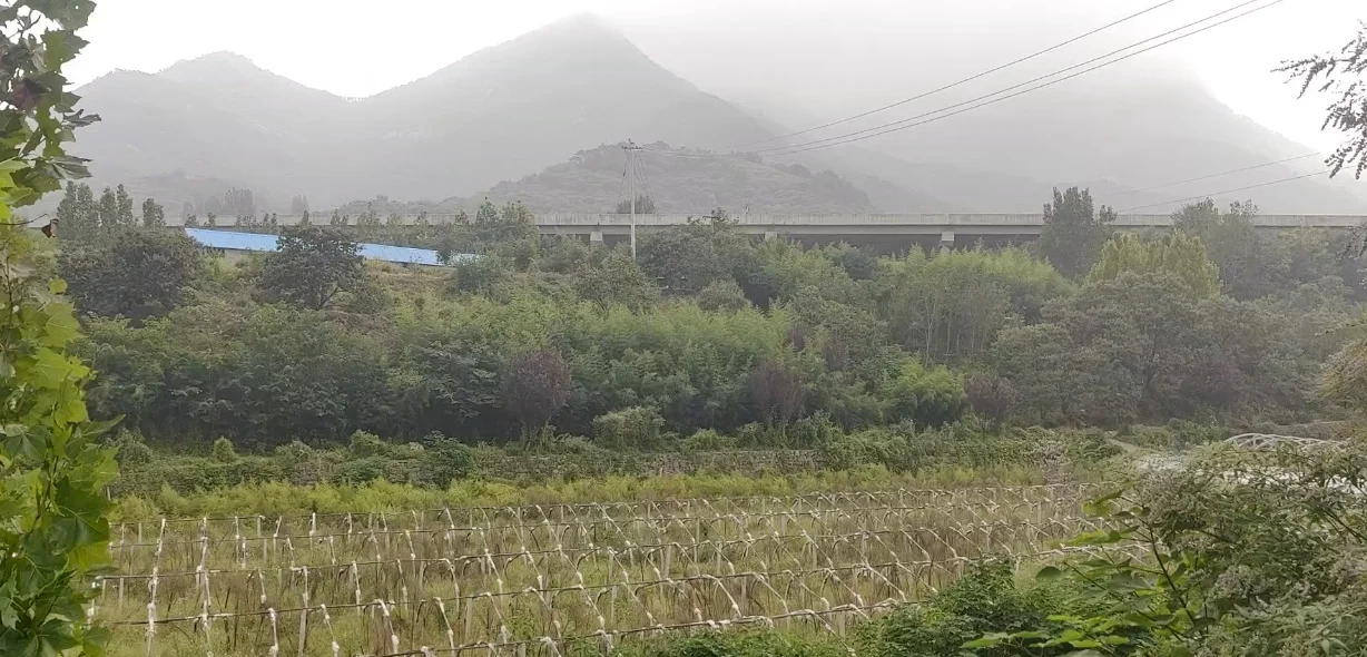 山村农场招募义工