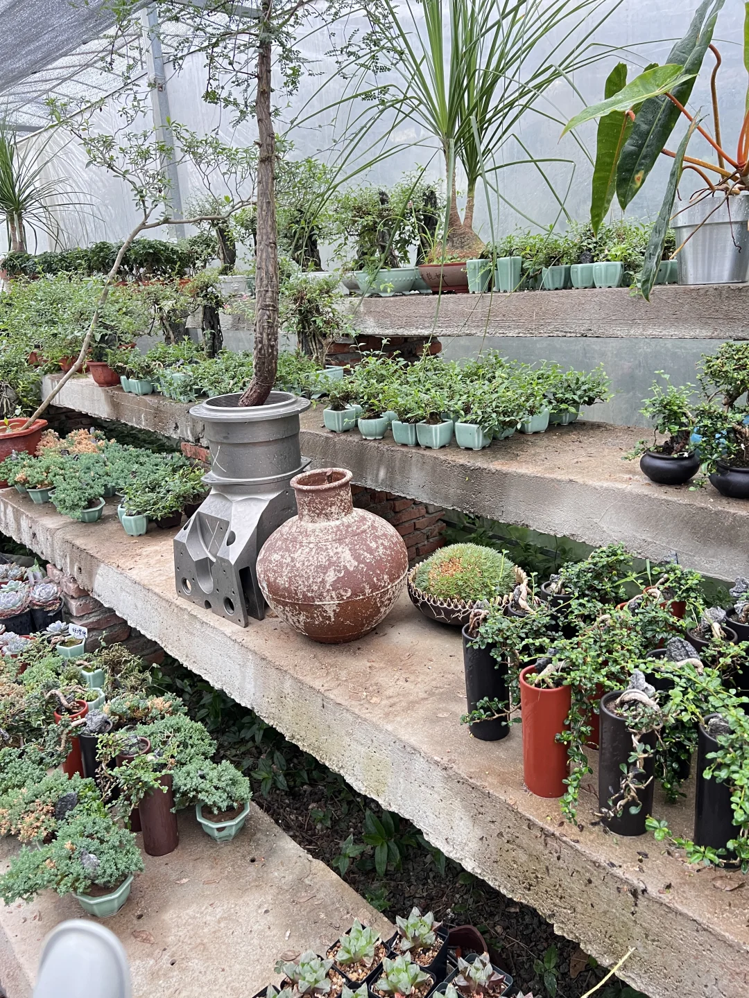 这是一条招聘信息：植物大棚管理员